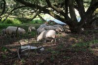 „Pestrá krajina je krajina otevřená,“ říká Daniel Pitek