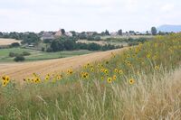 „Pestrá krajina je krajina otevřená,“ říká Daniel Pitek
