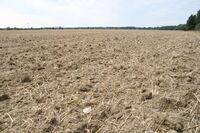 „Pestrá krajina je krajina otevřená,“ říká Daniel Pitek