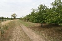 „Pestrá krajina je krajina otevřená,“ říká Daniel Pitek