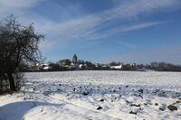 Nebýt rukojmím odběratelů a dodavatelů je podle Lubomíra Rákosníka možné