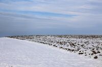 Nebýt rukojmím odběratelů a dodavatelů je podle Lubomíra Rákosníka možné