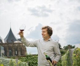 Kutnohorští vinaři přidávají do půdy biouhel. Má zadržet vodu a živiny