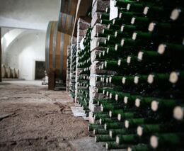 Obchodní agent Lidlu a příliš velký hluk kolem daně z tichého vína