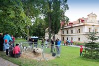 Petr Svoboda: Ani po 30 letech není nedotknutelnost soukromého vlastnictví ve společnosti zakotvena