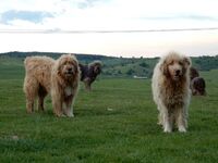 „Lidé na vesnici žili, dnes se na vesnici bydlí. My zde žijeme,“ říká Vladimír Tláskal