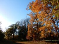 „Lidé na vesnici žili, dnes se na vesnici bydlí. My zde žijeme,“ říká Vladimír Tláskal
