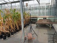 Bioklimatolog Trnka: Nelze se spoléhat na to, že změna klimatu je pouhý módní fenomén, který odezní