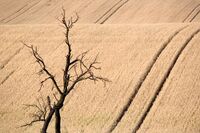 Bioklimatolog Trnka: Nelze se spoléhat na to, že změna klimatu je pouhý módní fenomén, který odezní