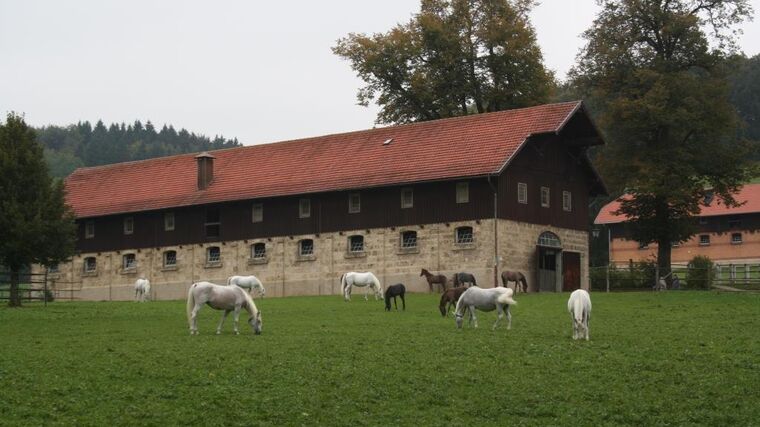 S ASCHK ČR na největší hřebčíny jižního Německa 2019