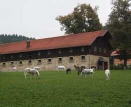 S ASCHK ČR na největší hřebčíny jižního Německa 2019