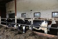 Václav Perník z Přísečné a Eva Šítalová z Mojného o práci v ASZ, o životě, vděčnosti a cestě kupředu