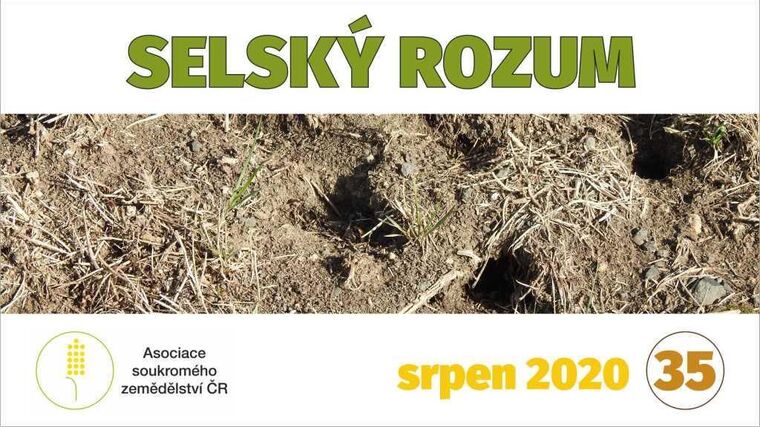 VIDEOSERIÁL Selský rozum - přemnožení hraboši a význam lokální produkce