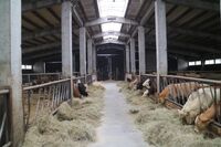 Mladí farmáři zavítali na Krnovsko, Opavsko a do Polska