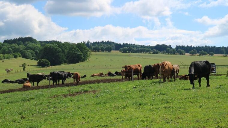 Předžňová cesta mladých farmářů na Svitavsko a Orlickoústecko