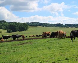 Předžňová cesta mladých farmářů na Svitavsko a Orlickoústecko