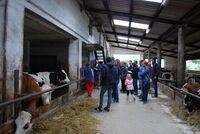 „Už jsme tu dva roky,“ řekli si mladí farmáři na Vysočině