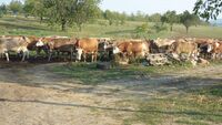 Za ovocem i do hor s Klubem mladých farmářů