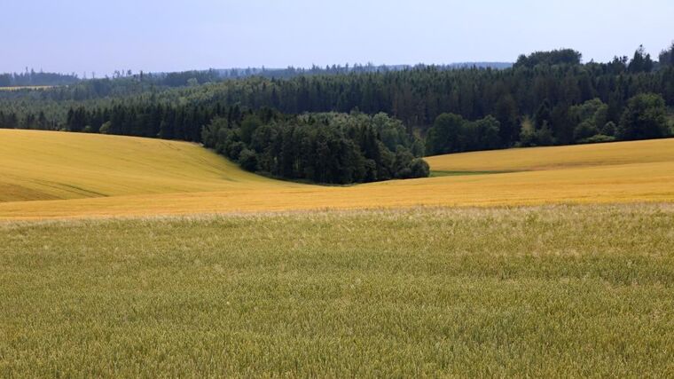 Agroholdingy sobě – Strategický plán poškozuje malé a střední zemědělce 