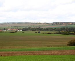 Zemědělcům jsme už pomohli. Pod tlakem jednat nebudeme, říká Výborný