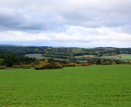 Změny pravidel podmíněnosti pro zemědělské hospodaření: ČR přejímá úpravu přijatou Evropskou unií
