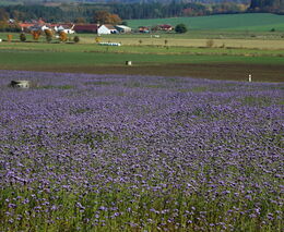 Týden podle PH č. 21 - 2022 (pH týdne: 8)