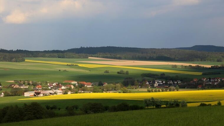 Zpráva EP o odolnějším zemědělství v EU vyzývá i k užití nových metod šlechtění