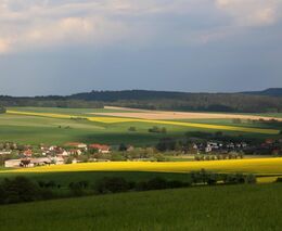 Stanjura: Pokud zemědělci vydělávají na drahých potravinách, snížím jim dotace