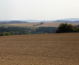 Půda v Česku není v dobrém stavu, ubývá v ní organická hmota, varuje biolog