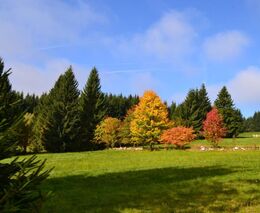 Asociace chce pomoci propojit resorty zemědělství a životního prostředí