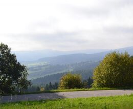 Týden podle PH č. 45 - 2019 (pH týdne: 7)