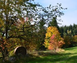 Do národních parků posílá MŽP 100 milionů na cesty, zeleň, osvětlení i šetrný turismus