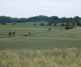 Zrušení daní z dotací? Předcházet musí data a analýza přínosu