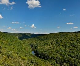 Projektový workshop v NP Podyjí