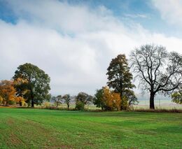 Reakce ASZ ČR na dotazy časopisu Reflex ke Green Dealu 
