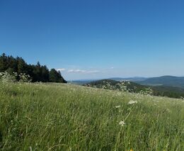 Předkupní právo státu na pozemky v národních parcích je rizikem do budoucna