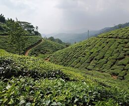Farmáři po celé Indii protestují proti zemědělské reformě