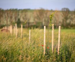 Jak mohou obce zlepšit krajinu? Speciální seminář ukáže možnost změn a jak je financovat