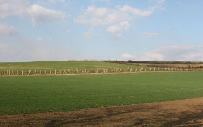 Brno podpoří zodpovědné hospodaření s půdou