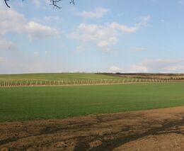 Brno podpoří zodpovědné hospodaření s půdou