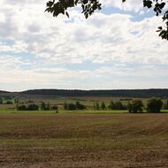 Babišova vláda chystá brutální útok na vlastnická práva, nejhorší od listopadu 1989