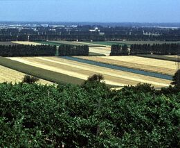 Timmermans: Zemědělci na zelenou politiku více peněz nepotřebují