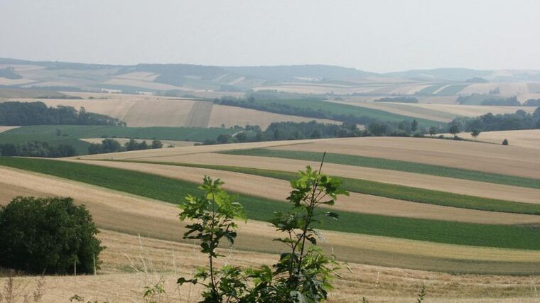 Týden v zemědělství podle Petra Havla - č. 38