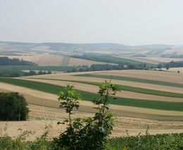 Pole uprostřed lánu: jak se k němu dostat?