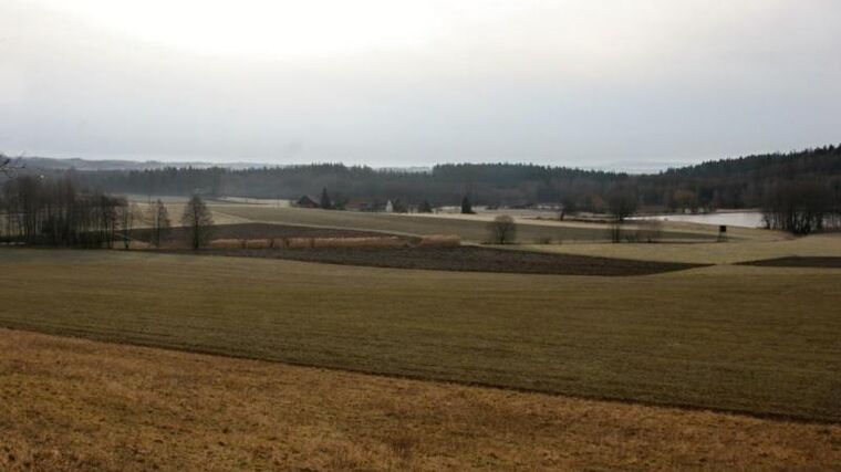 Jaroslav Šebek: Ministr zemědělství bude jen sluhou oligarchy