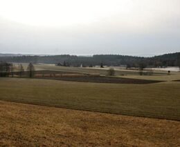 Jaroslav Šebek: Ministr zemědělství bude jen sluhou oligarchy