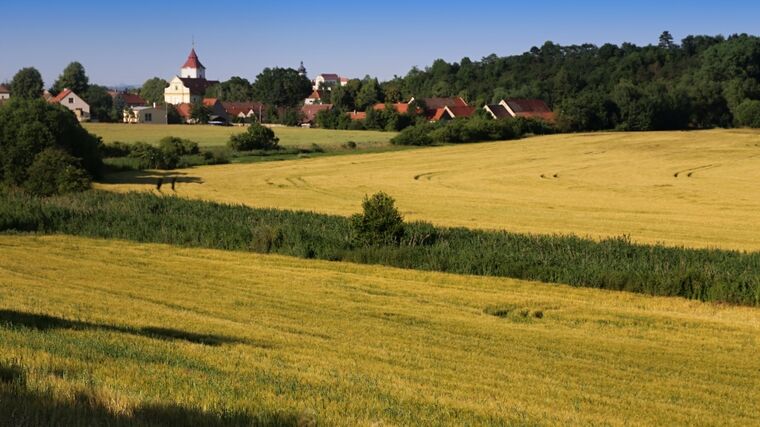 Společné stanovisko NNO k návrhu MZe ČR na rozdělení financí z vládní rozpočtové rezervy