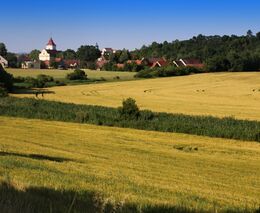 Týden podle PH č. 23 - 2017 (pH týdne: 6)