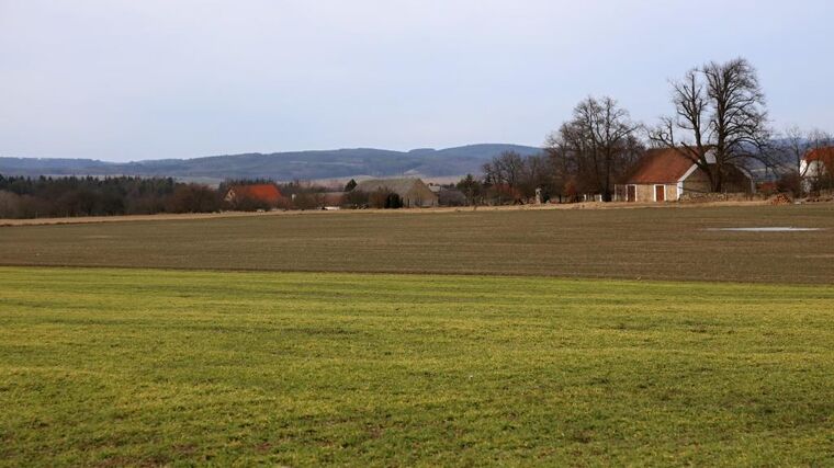 Víc peněz malým farmám a přednost rostlinné stravě, vyzývají evropští zemědělci i ekologové