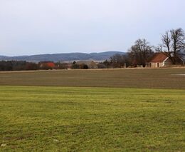 Víc peněz malým farmám a přednost rostlinné stravě, vyzývají evropští zemědělci i ekologové